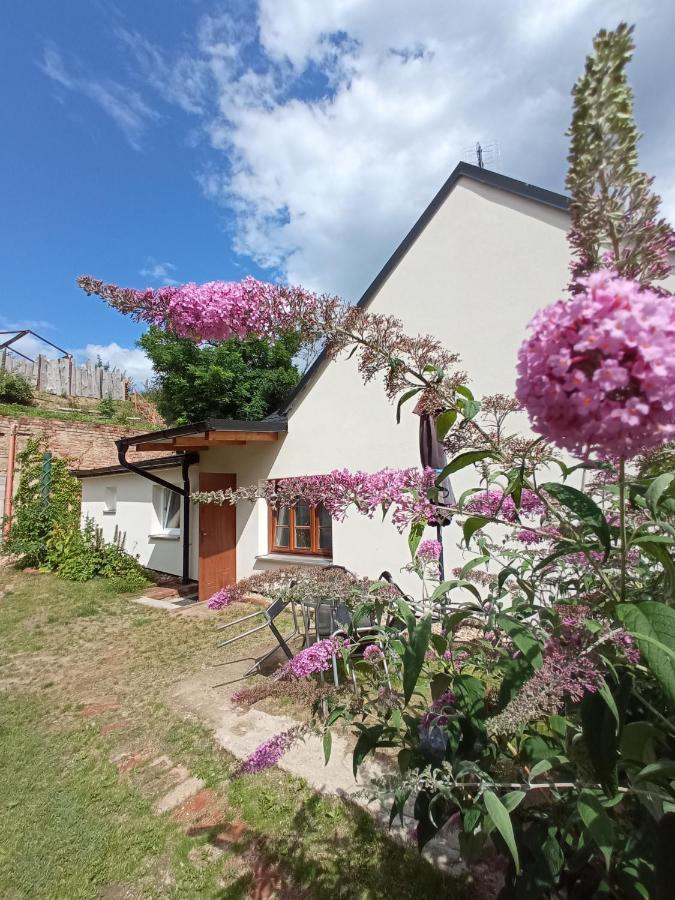 Ubytování u Ještěrky Jaroslavice  Exterior foto